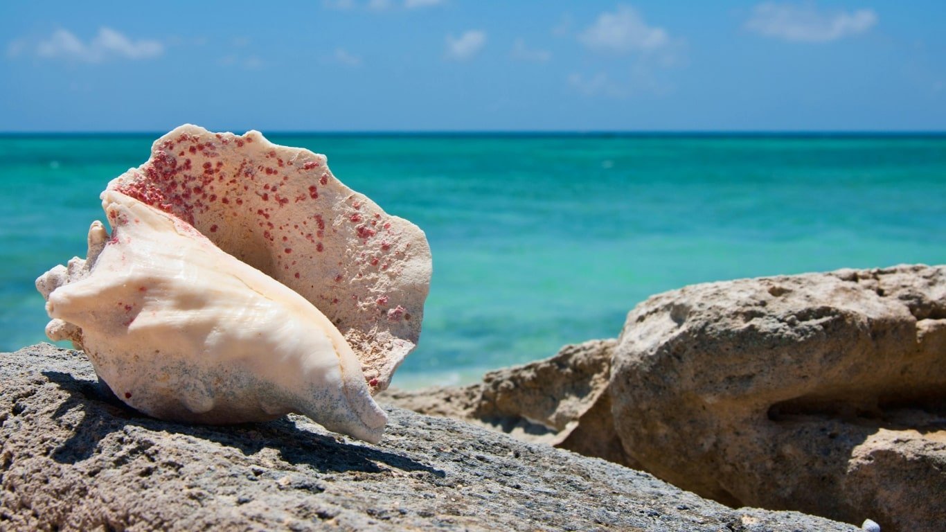 conch pearls
